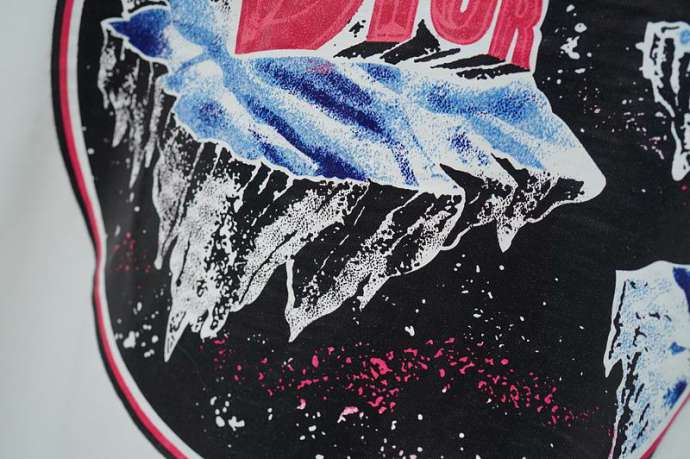 Dior T Shirts Short _SKUDiorS-XXLqntrQ70733838